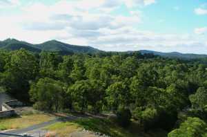 HINZE DAM 2006(025)
